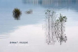 就在成都周邊,這個小城竟私藏著小柬埔寨 湖泊 古鎮(zhèn)和雪山,景色絕美